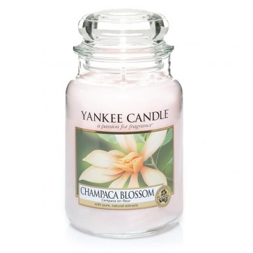 Yankee Candle Champaca Blossom 623g - Duftkerze