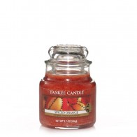 Yankee Candle Spiced Orange 104 g