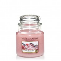 Yankee Candle Summer Scoop  411 g