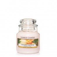 Yankee Candle Champaca Blossom 104 g