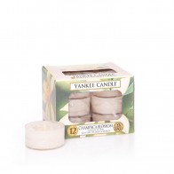 Yankee Candle Champaca Blossom Teelichter 118 g