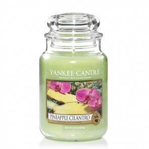 Yankee Candle Pineapple Cilantro 623g - Duftkerze