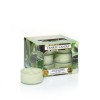 Yankee Candle Aloe Water Teelichter 118 g