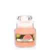 Yankee Candle Delicious Guava 104g